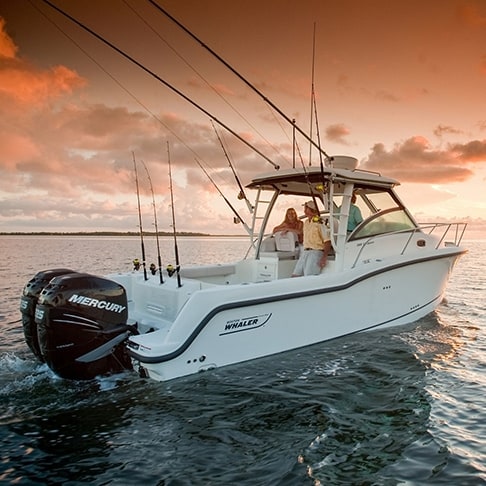 Boston Whaler